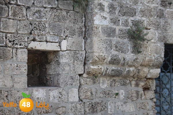 abonabootsbeel502 (2).JPG